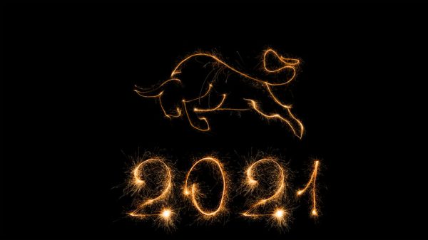 2021 - Jahr der Stiers - Metall
