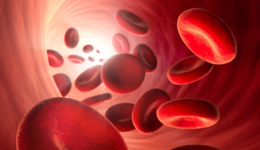 Neues zum Thema Blut – überarbeiteter Blogbeitrag