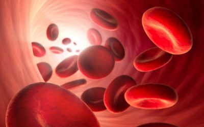 Neues zum Thema Blut – überarbeiteter Blogbeitrag