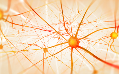 Neurologische Erkrankungen