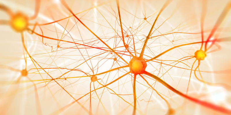 Neurologische Erkrankungen