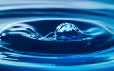 TCM Tipps – August 2025 – Haben Sie Durst?